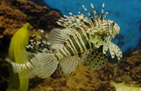 【完整版】稳定的网站攻击手段